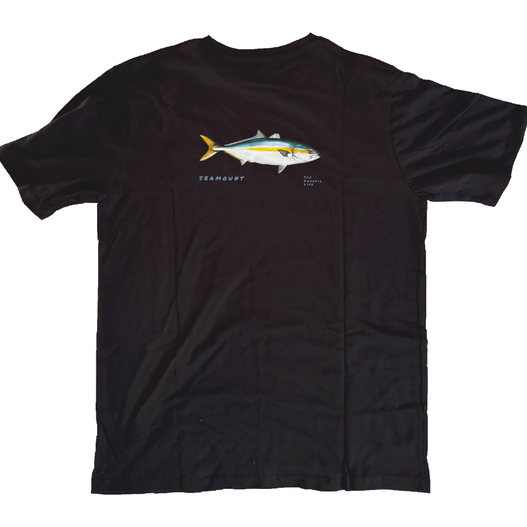 Yellowtail - Seriola Lalandi
