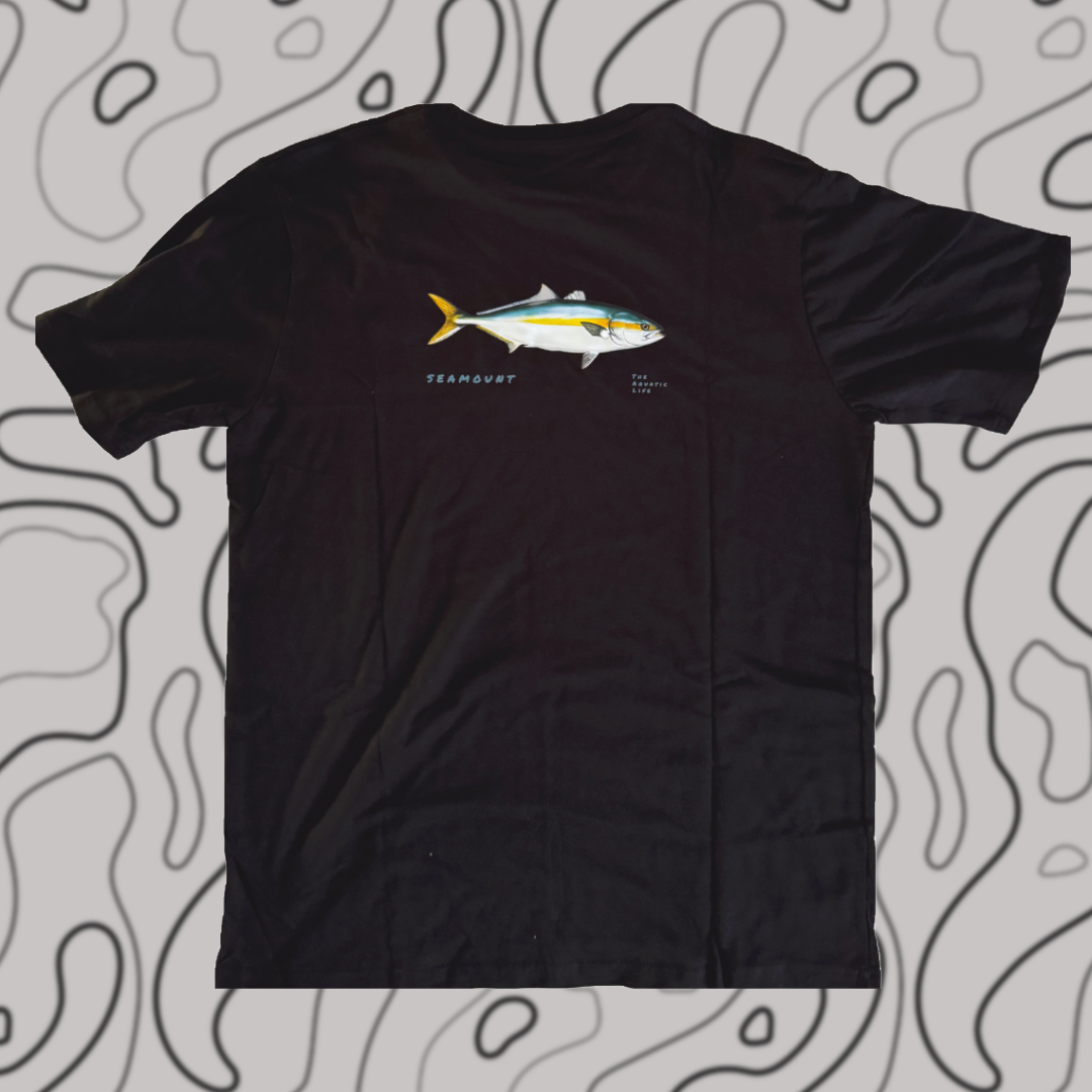 Yellowtail - Seriola Lalandi