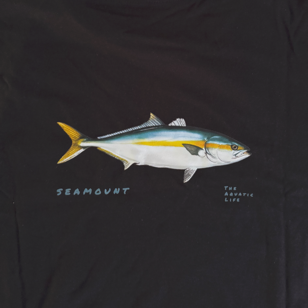 Yellowtail - Seriola Lalandi