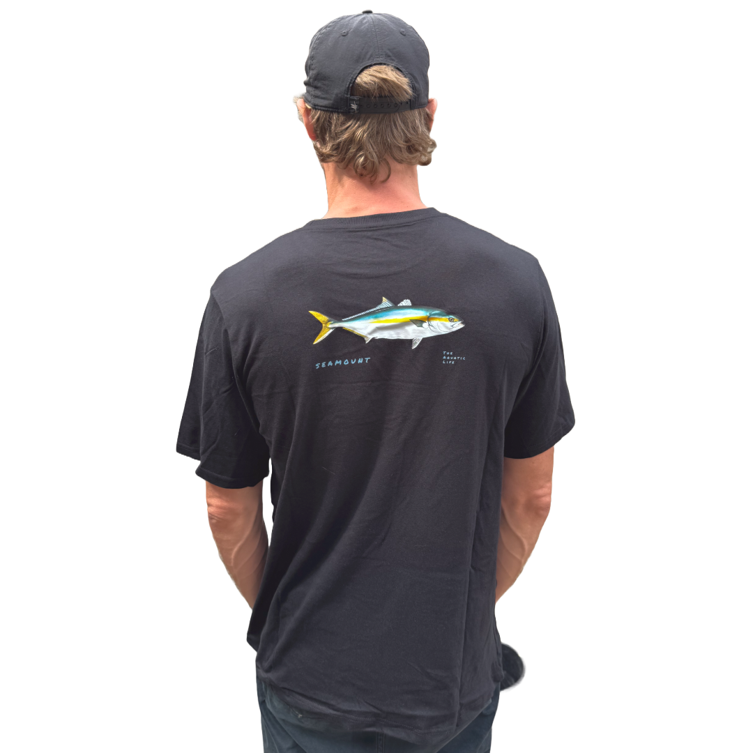 Yellowtail - Seriola Lalandi